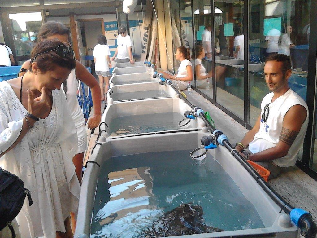 WWF Sea Turtle Rescue Centre lampedusa